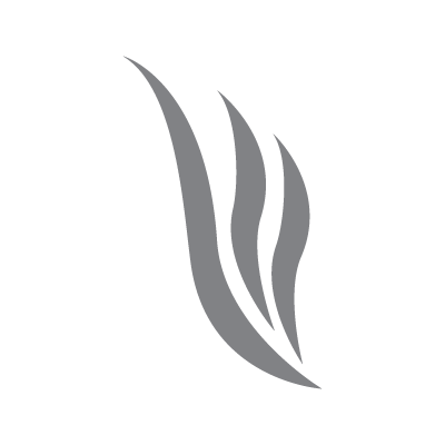 WVC logo in gray